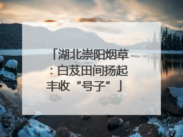 湖北崇阳烟草：白芨田间扬起丰收“号子”