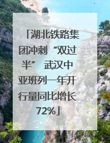湖北铁路集团冲刺“双过半” 武汉中亚班列一年开行量同比增长72%