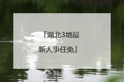 湖北3地最新人事任免