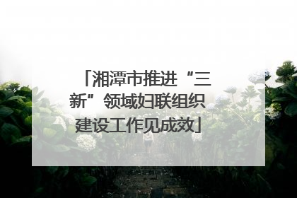 湘潭市推进“三新”领域妇联组织建设工作见成效