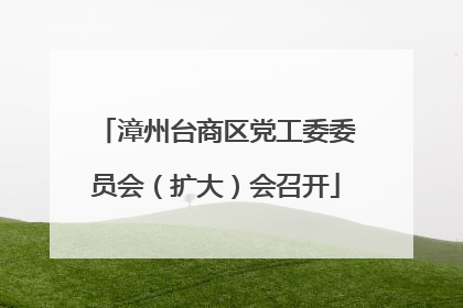 漳州台商区党工委委员会（扩大）会召开