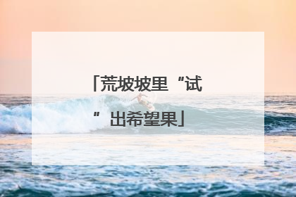 荒坡坡里“试”出希望果
