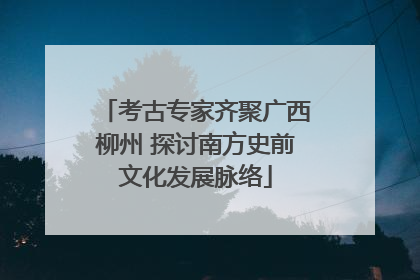 考古专家齐聚广西柳州 探讨南方史前文化发展脉络