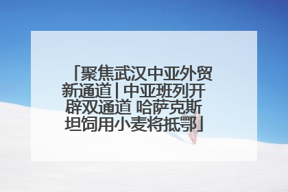 聚焦武汉中亚外贸新通道│中亚班列开辟双通道 哈萨克斯坦饲用小麦将抵鄂
