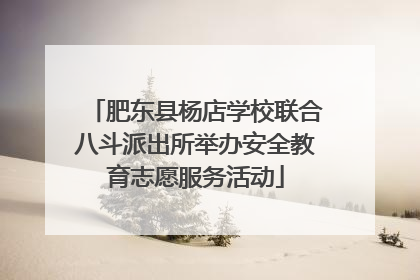 肥东县杨店学校联合八斗派出所举办安全教育志愿服务活动