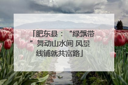 肥东县：“绿飘带”舞动山水间 风景线铺就共富路