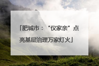 肥城市：“仪家亲”点亮基层治理万家灯火