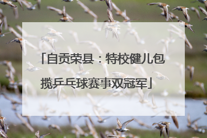 自贡荣县：特校健儿包揽乒乓球赛事双冠军