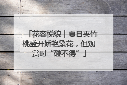 花容悦貌｜夏日夹竹桃盛开娇艳繁花，但观赏时“碰不得”
