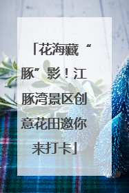 花海藏“豚”影！江豚湾景区创意花田邀你来打卡
