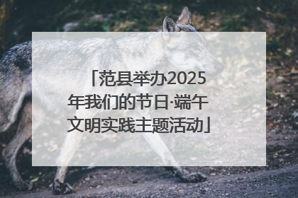 范县举办2025年我们的节日·端午文明实践主题活动