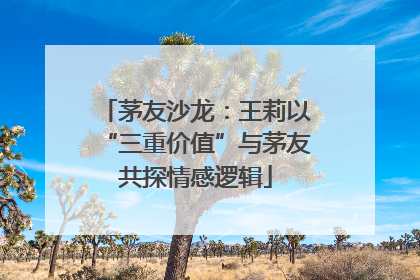 茅友沙龙：王莉以“三重价值”与茅友共探情感逻辑