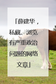 薛建华，私藏、浏览有严重政治问题的网络文章