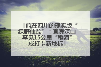 藏在四川的现实版“绿野仙踪”：宜宾深山罕见15公里“稻海”成打卡新地标
