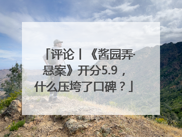 评论丨《酱园弄·悬案》开分5.9，什么压垮了口碑？