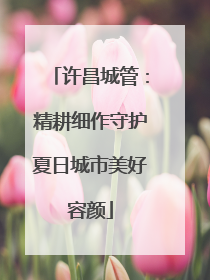 许昌城管：精耕细作守护夏日城市美好容颜