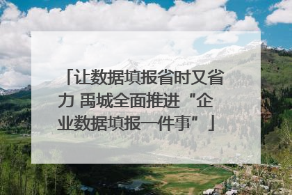 让数据填报省时又省力 禹城全面推进“企业数据填报一件事”