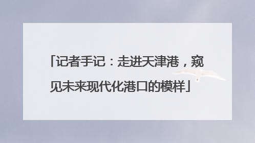 记者手记：走进天津港，窥见未来现代化港口的模样
