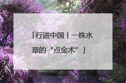 行进中国丨一株水草的“点金术”