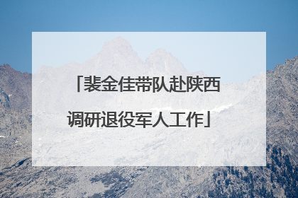 裴金佳带队赴陕西调研退役军人工作