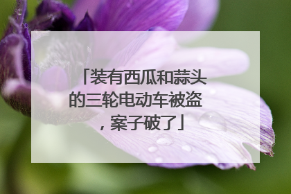 装有西瓜和蒜头的三轮电动车被盗，案子破了