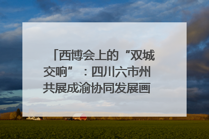 西博会上的“双城交响”：四川六市州共展成渝协同发展画卷｜西博视界