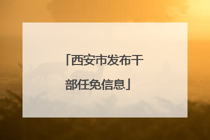 西安市发布干部任免信息