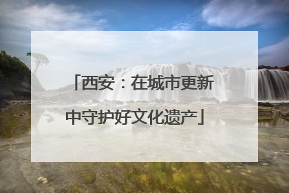 西安：在城市更新中守护好文化遗产