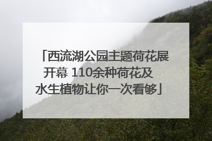 西流湖公园主题荷花展开幕 110余种荷花及水生植物让你一次看够