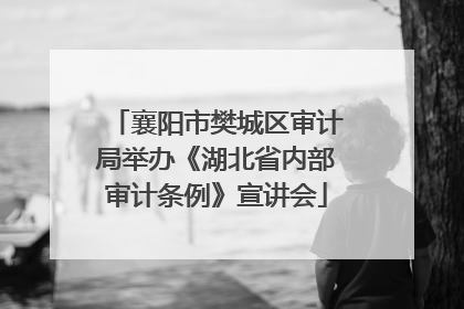 襄阳市樊城区审计局举办《湖北省内部审计条例》宣讲会