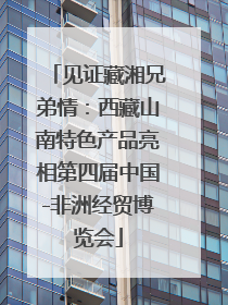 见证藏湘兄弟情：西藏山南特色产品亮相第四届中国-非洲经贸博览会