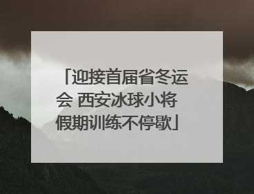 迎接首届省冬运会 西安冰球小将假期训练不停歇