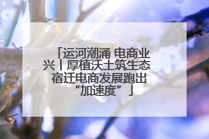 运河潮涌 电商业兴丨厚植沃土筑生态 宿迁电商发展跑出“加速度”