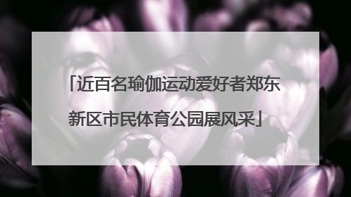 近百名瑜伽运动爱好者郑东新区市民体育公园展风采