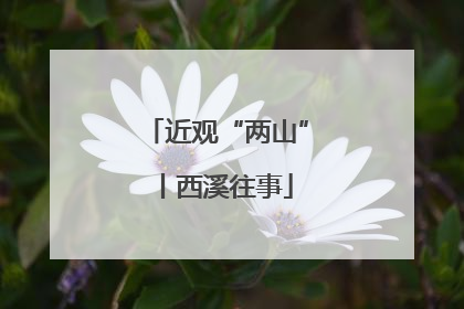 近观“两山”丨西溪往事
