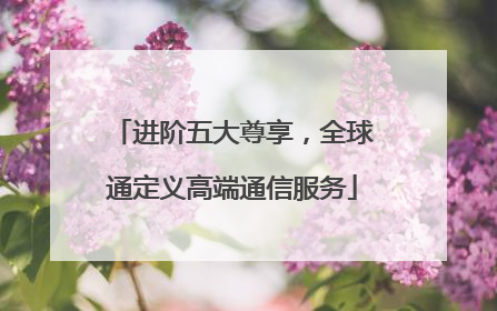 进阶五大尊享，全球通定义高端通信服务