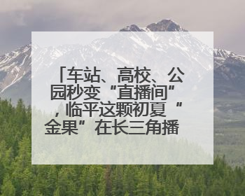 车站、高校、公园秒变“直播间”，临平这颗初夏“金果”在长三角播撒甜美
