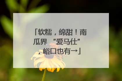 软糯，绵甜！南瓜界 “爱马仕”，峪口也有→