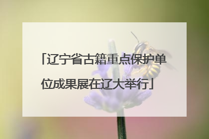 辽宁省古籍重点保护单位成果展在辽大举行