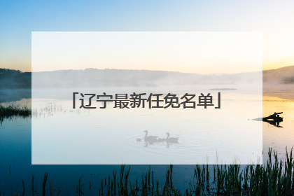 辽宁最新任免名单