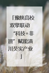 豫陕高校双擎联动 “科技+非遗”赋能潢川芡实产业