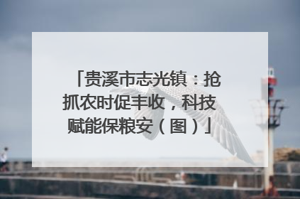 贵溪市志光镇：抢抓农时促丰收，科技赋能保粮安（图）