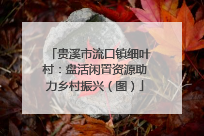 贵溪市流口镇细叶村：盘活闲置资源助力乡村振兴（图）