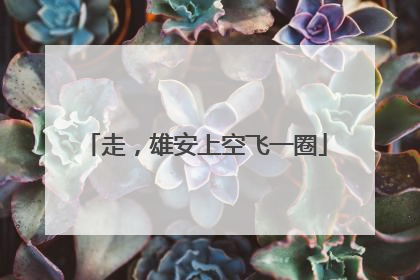 走，雄安上空飞一圈