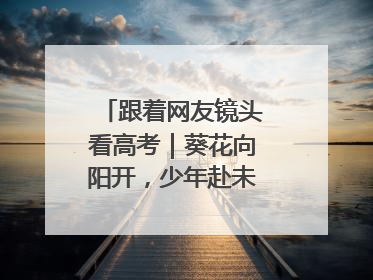 跟着网友镜头看高考｜葵花向阳开，少年赴未来，安乡高考首日的希望图景