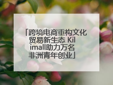 跨境电商重构文化贸易新生态 Kilimall助力万名非洲青年创业