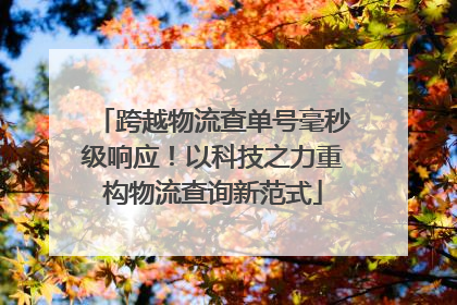 跨越物流查单号毫秒级响应！以科技之力重构物流查询新范式