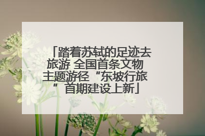 踏着苏轼的足迹去旅游 全国首条文物主题游径“东坡行旅”首期建设上新