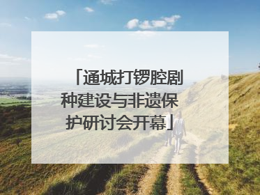 通城打锣腔剧种建设与非遗保护研讨会开幕