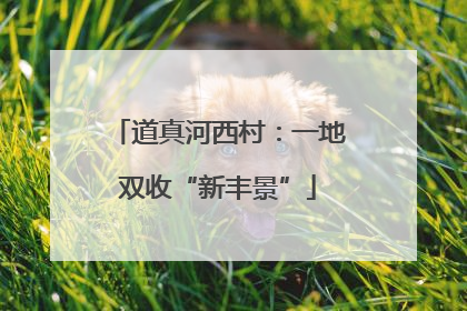 道真河西村：一地双收“新丰景”